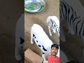 How To Make Mini Hand Pump Science Projec Shorts Youtubeshorts