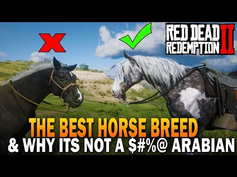 YouTube video about: What horse breed has the worst temperament?