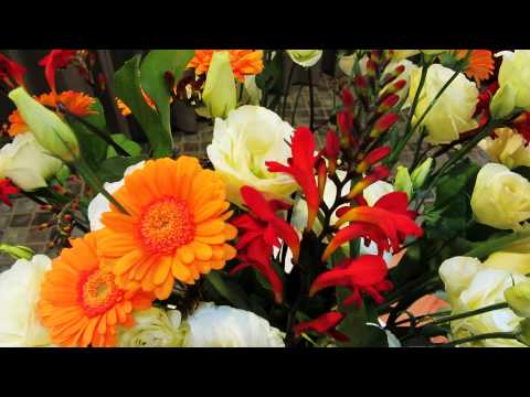 Wat een plezier   Opwekking 73