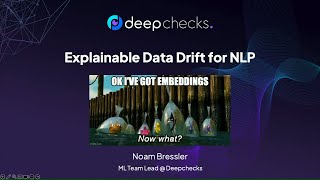 Explainable Data Drift for NLP