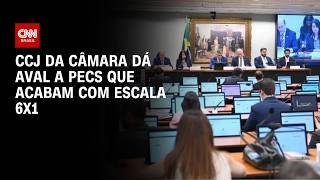 Vídeo: CCJ aprova PEC do fim da jornada de trabalho 6x1 e tema avança na Câmara | WW