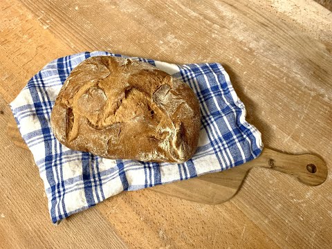 Wenn das Brot, das wir teilen, als Rose blüht | Gotteslob 470