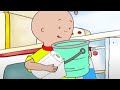 Caillou S Big Clean Up Caillou Cartoon