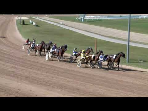 2019.09.21. 01. futam - PLATÁN DÍJ