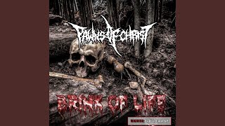 Brink of Life