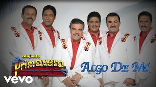 Conjunto Primavera - Algo De Mí (Visualizer)