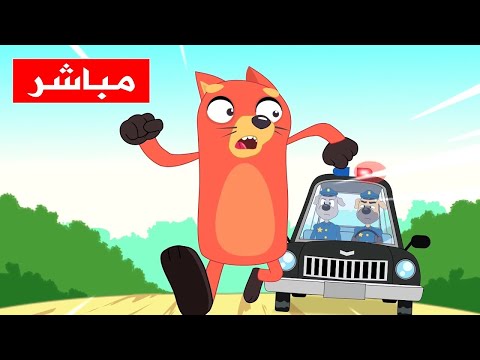 قناة أسرتنا مباشر للاطفال والصغار أغاني تعليم الأطفال live