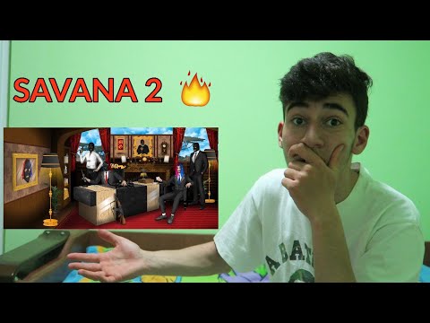 REACȚIONEZ LA MARKO GLASS X BVCOVIA - "SAVANA 2"