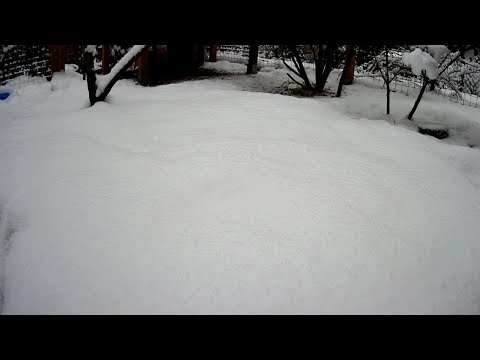 Hühner im Schnee - Livestream - chicken in the snow