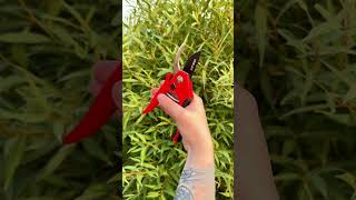 Pruning shears VOLAT