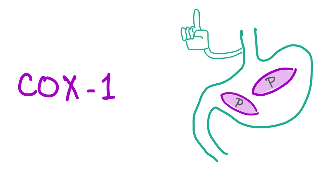 Cyclooxygenase-1 and Cyclooxygenase-2 (COX 1, COX 2) - All You Need To Know - Pharmacology