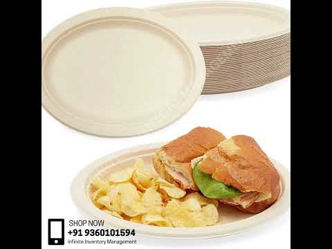 Bagasse Disposable Plate