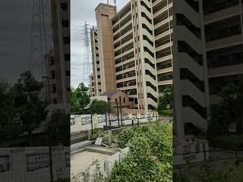 マクドナルド島について詳しく解説