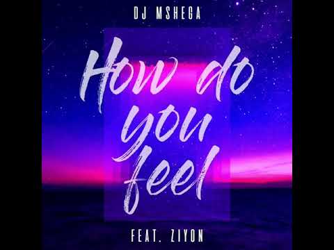 Dj Mshega feat ziyon - how do you feel (teaser)