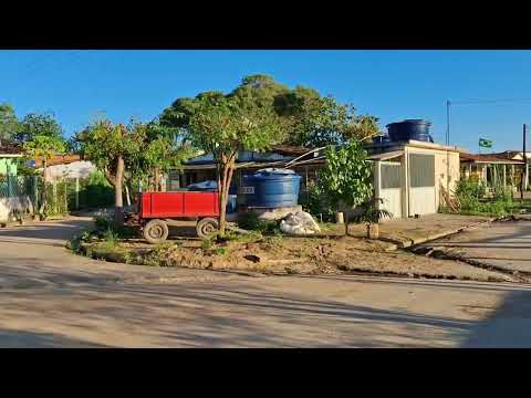 Indo de Palmeira 🌴 dos índios AL. , ao povoado coruripe, veja 👀 que paisagens belíssima. ⛰️🌳🌳🐄🐃🏝