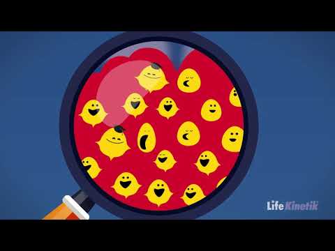 Life Kinetik Erklärfilm