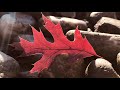 Clip 2