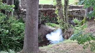 what goes on. (Llanes 2012)