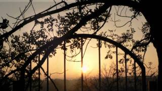 (HD 720p) Stella by Starlight, Itzhak Perlman (Boston Pops Orchestra)