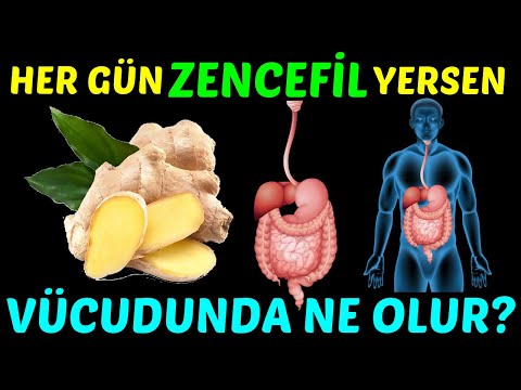 , title : 'Her Gün ZENCEFİL Yerseniz VÜCUDUNUZDA NE OLUR?'