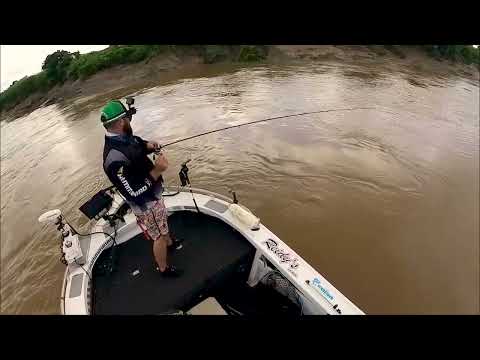 HUMMINBIRD MEGA LIVE on the Daly river Barra Nationals