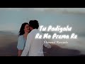 Tu Padigalu Re Mo Premare Slowed Reverb Song Probey11 Song Love Odia Trending Music