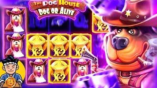 夢にまで見た大勝利 【The Dog House Dog or Alive】【Pragmatic】Bc.game