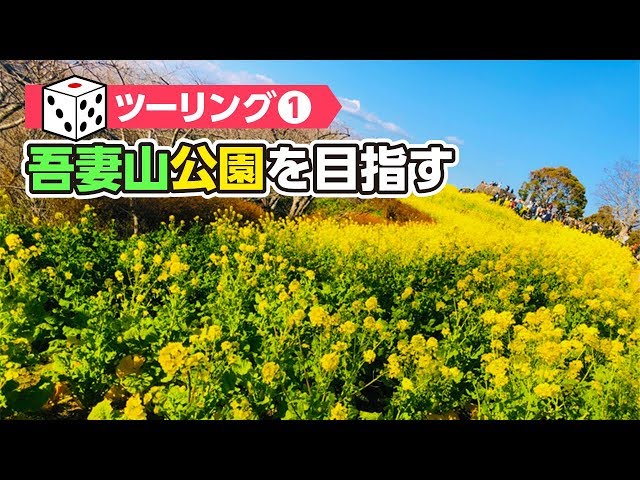 サイコロツーリング 神奈川県の吾妻山公園に菜の花を見に行ってきた Motovlog Bike