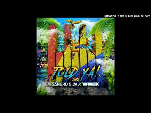 Sandro Silva x Wiwek - Told Ya! 2022 (Extended Mix)
