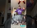 Can Your Pet Do The Veggie Dance Shorts