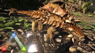 ドエディクルス テイム تنزيل الموسيقى Mp3 مجانا ドエディクルス テイム تنزيل الموسيقى Mp3 مجانا