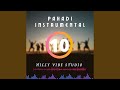 PAHADI 10 Feat ASHUTOSH MEHRA Instrumental Version