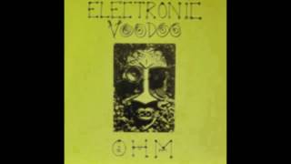 Electronic Voodoo - Ohm (Live In Tibet) (1990)