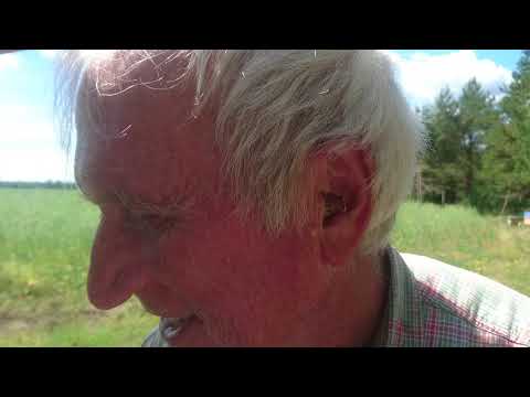 Drottningscell i örat