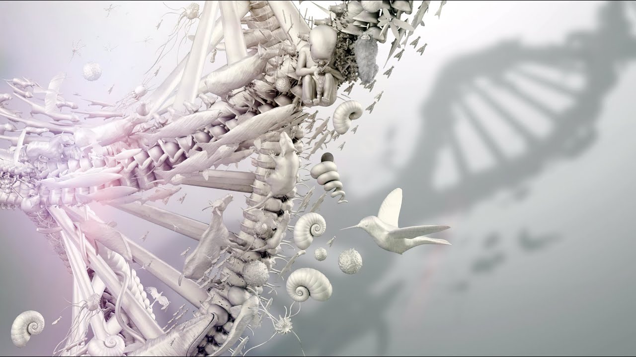 National Geographic — project still
