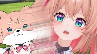 開場/開演 - ぽまいらをドッグランに連れていくよ!【#あんこ配信中 / RIOTMUSIC】
