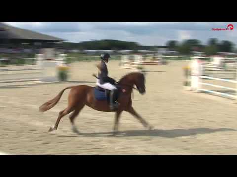 Showtime v. Heidbergs Nancho Nova Bundeschampionate 2017 Finale 5-und6j. VS Ponys