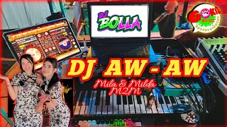 Download lagu Karaoke AW AW - VERSI BOLLA GOKIL #gokilmusic #dj #musikdangduterbaru #dangdutdj  mp3