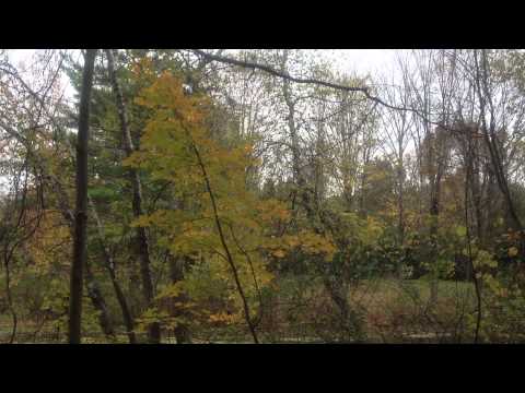 Meditation on Your Inner Smile with Mary Anne Flanagan