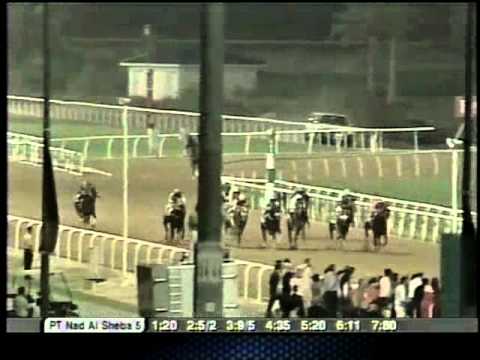 Avanzado Dubai Golden Shaheen G1