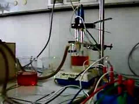 belousov zhabontinsky reaction