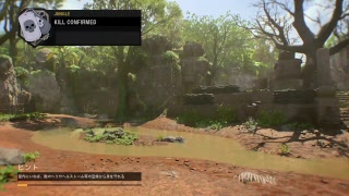 bo4　バトルロワイヤル　初見歓迎