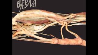 The End - Entirety In Infancy