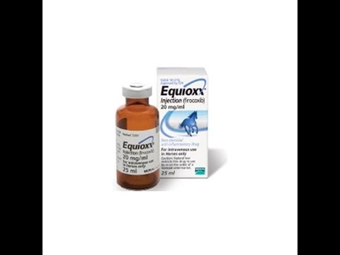 Equioxx Injectable