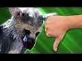 The Last Guardian Uma Decep o