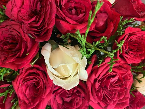 #Ojas: Sangam, UK reflects on their mentoring journey with Priyadarsini Govind