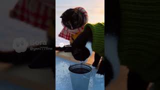 ワカサギ釣りくろ #生成ai #cat #猫 #shorts