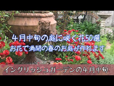  4月に植える花は何ですか？庭やバルコニーに花を咲かせる 5 種類以上の気楽な植物  庭園