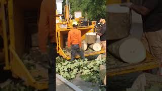 Download lagu Pengolahan Serpihan Kayu: Memuaskan dan Berkelanjutan, Cara Mendapatkan Manfaatnya mp3