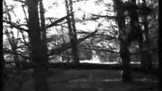 Boards of Canada - Hi Scores Project (old)